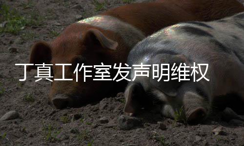被包认已室发声明工作轨养传婚出维权闻丁真 否